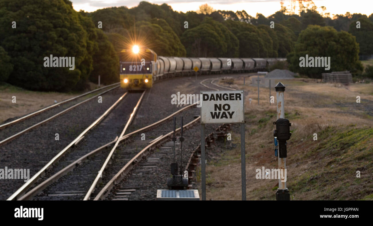 A diesel locomotive pulling coal trucks or wagons through the Southern Highlands of New South Wales in Australia in the early evening for export Stock Photo