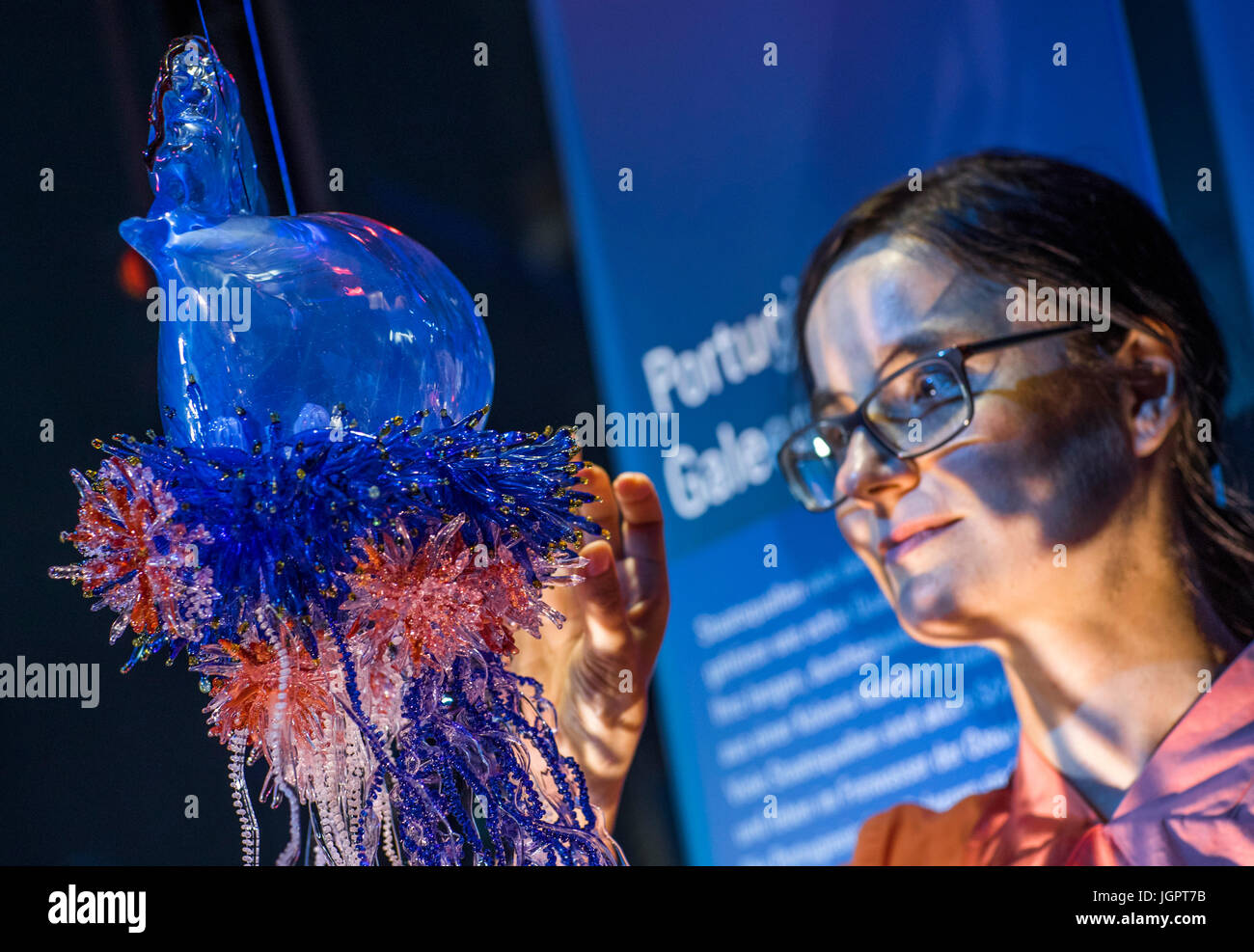 Artist Susan Liebold putting together the coloured glass replica of a siphonophora at the Ozeanum in Stralsund, Germany, 28 June 2017. The replica of the oceanic life-form also known as the Portuguese man o'war consists of a total of 700 parts. Siphonophorae are colonies of hundreds of individual organisms, native to the tropical seas and are some of the most poisonous organisms in the ocean. The glass siphonophora can be marveled at at the Ozeanum, the natural science museum focused on the sea belonging to the German Oceanographic Museum Foundation. Photo: Jens Büttner/dpa-Zentralbild/dpa Stock Photo
