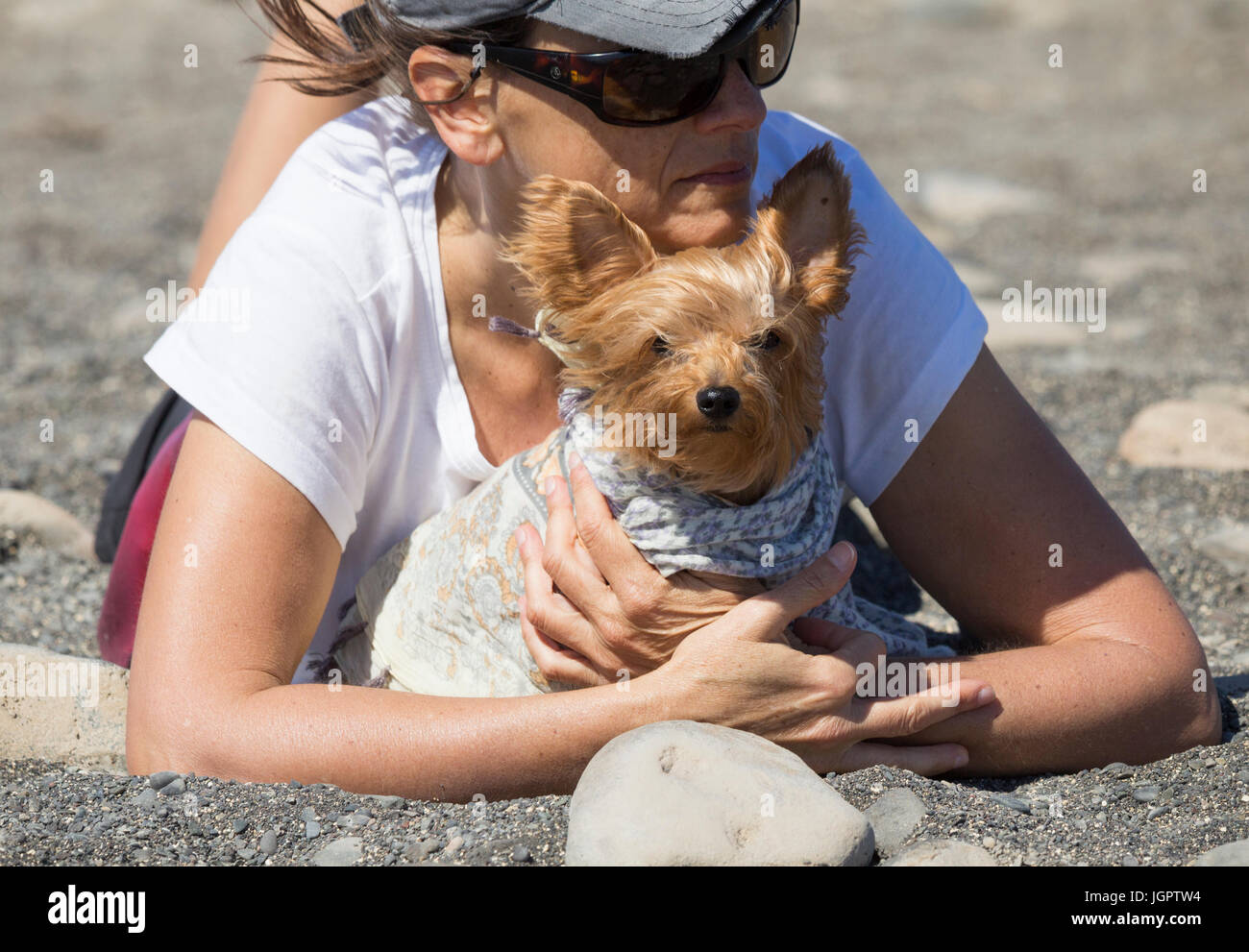 Woman on beach with Yorkshire Terrier dog on a sunny day. Stock Photo