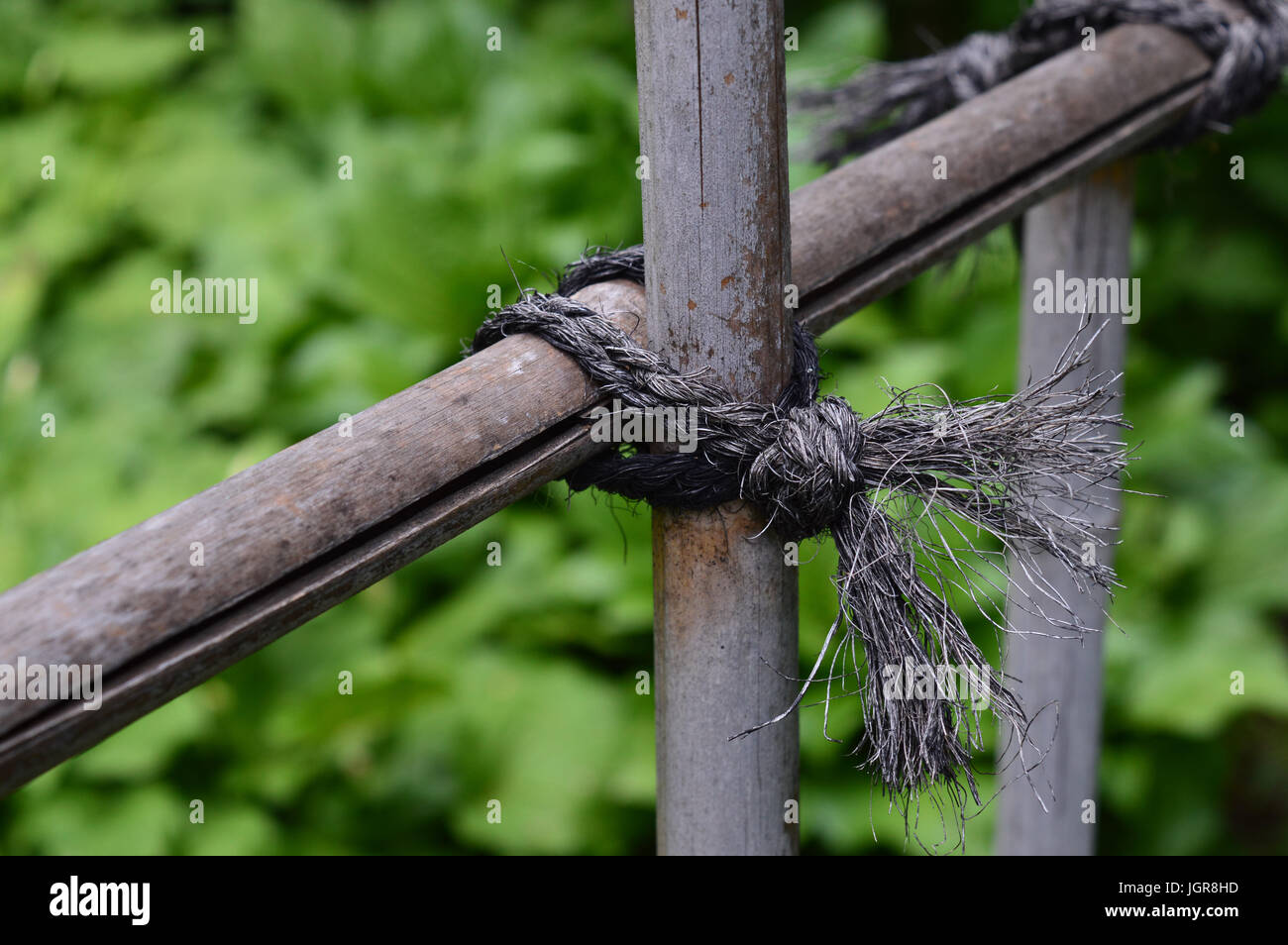 Close Bamboo Connection Tied Rope Fence Stock Photo 2313812003