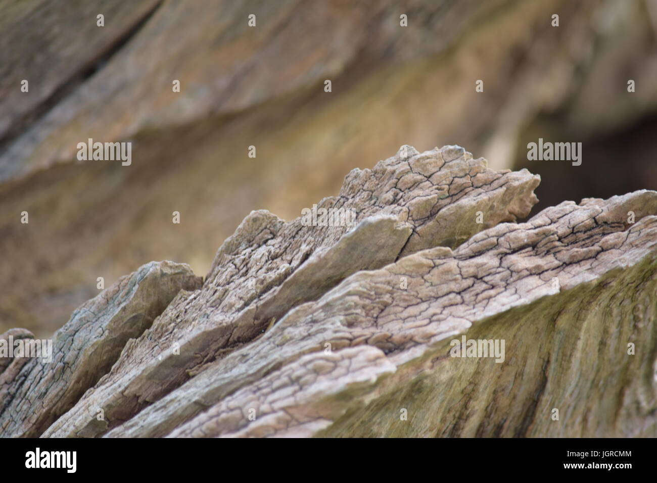 Layered Timber Ridges Weathered ridge hi-res stock photography and images - Alamy