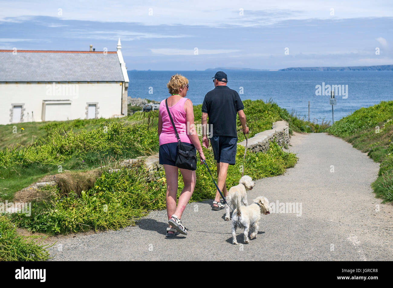 Dog walkers on a footpath on The Headland in Newquay, Cornwall., Newquay, Cornwall. Stock Photo