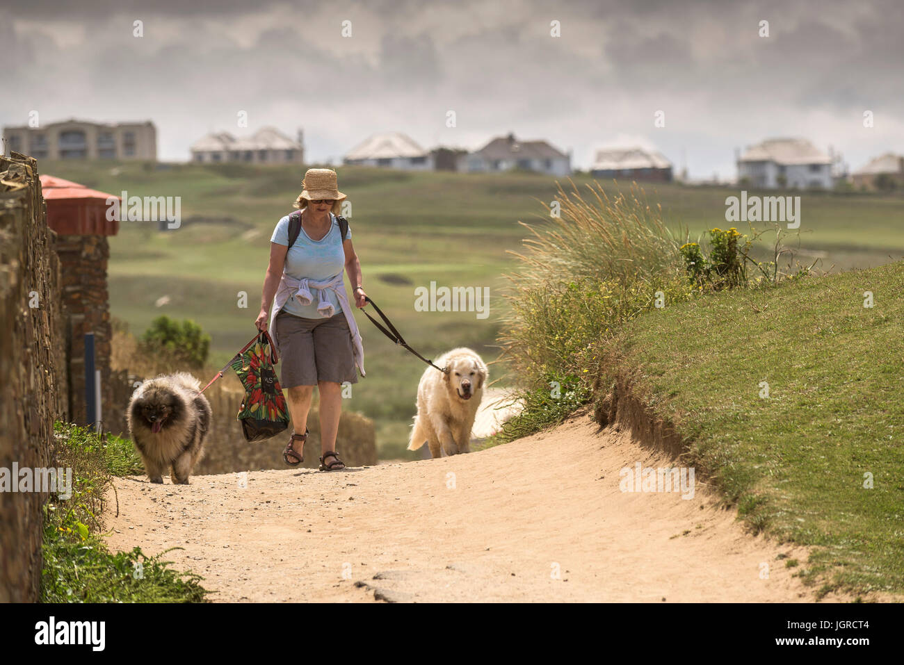 A woman walking her two dogs on footpath on The Headland in Newquay, Cornwall. Stock Photo