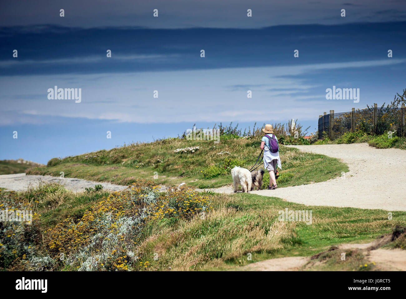 Two woman walking with dog hi-res stock photography and images - Alamy