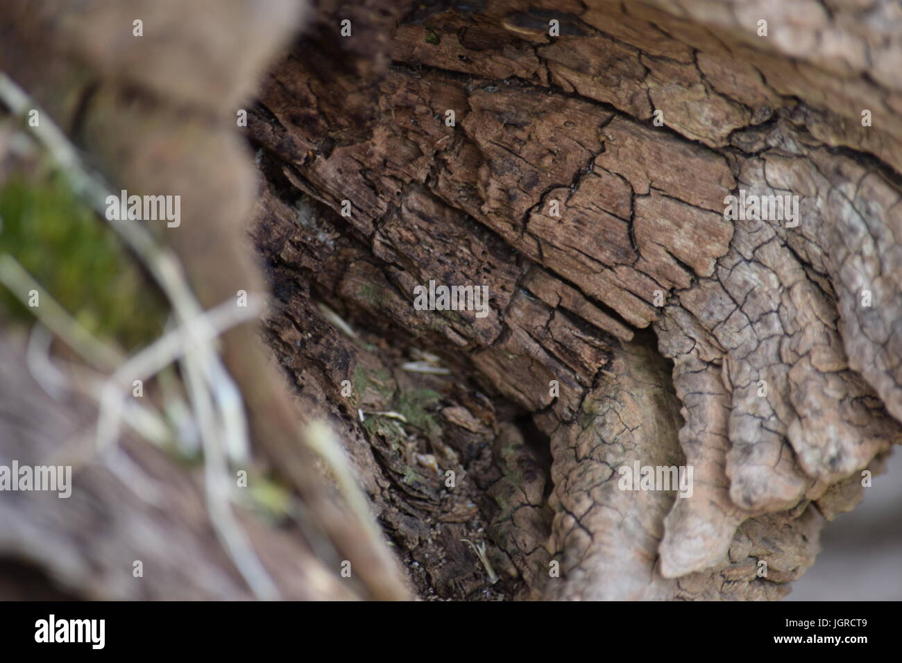 Timber Flaking Cracked flaking hi-res stock photography and images - Alamy