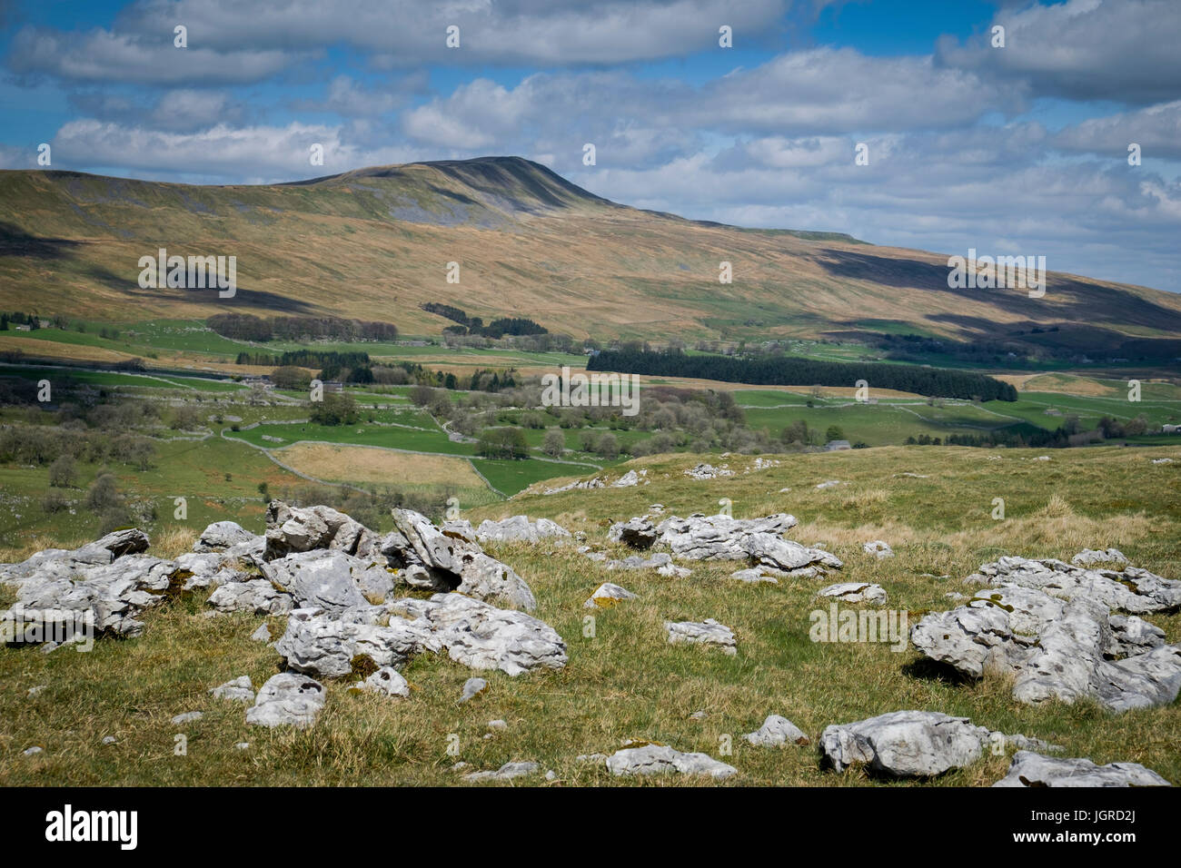 Whernside from White Scar, North Yorkshire Dales, England Stock Photo