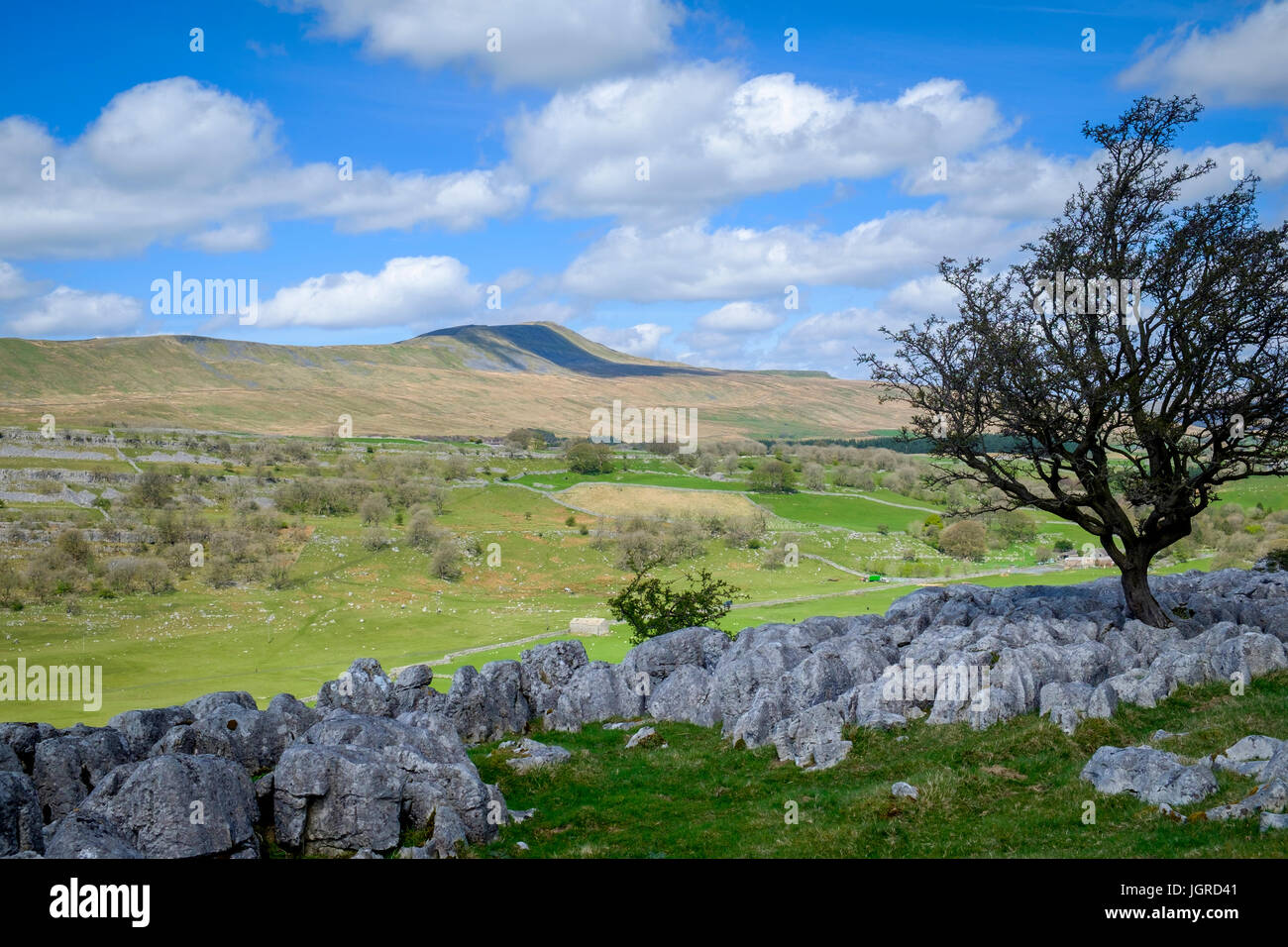 Whernside from White Scar, North Yorshire Dales, England Stock Photo