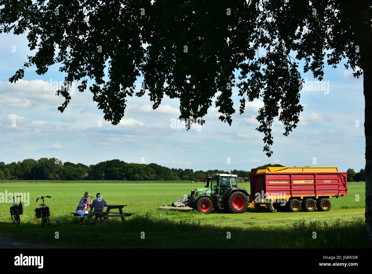 Tourist looking at a tractor mowing grass and collecting directly in a Self-loading forage wagon. Stock Photo