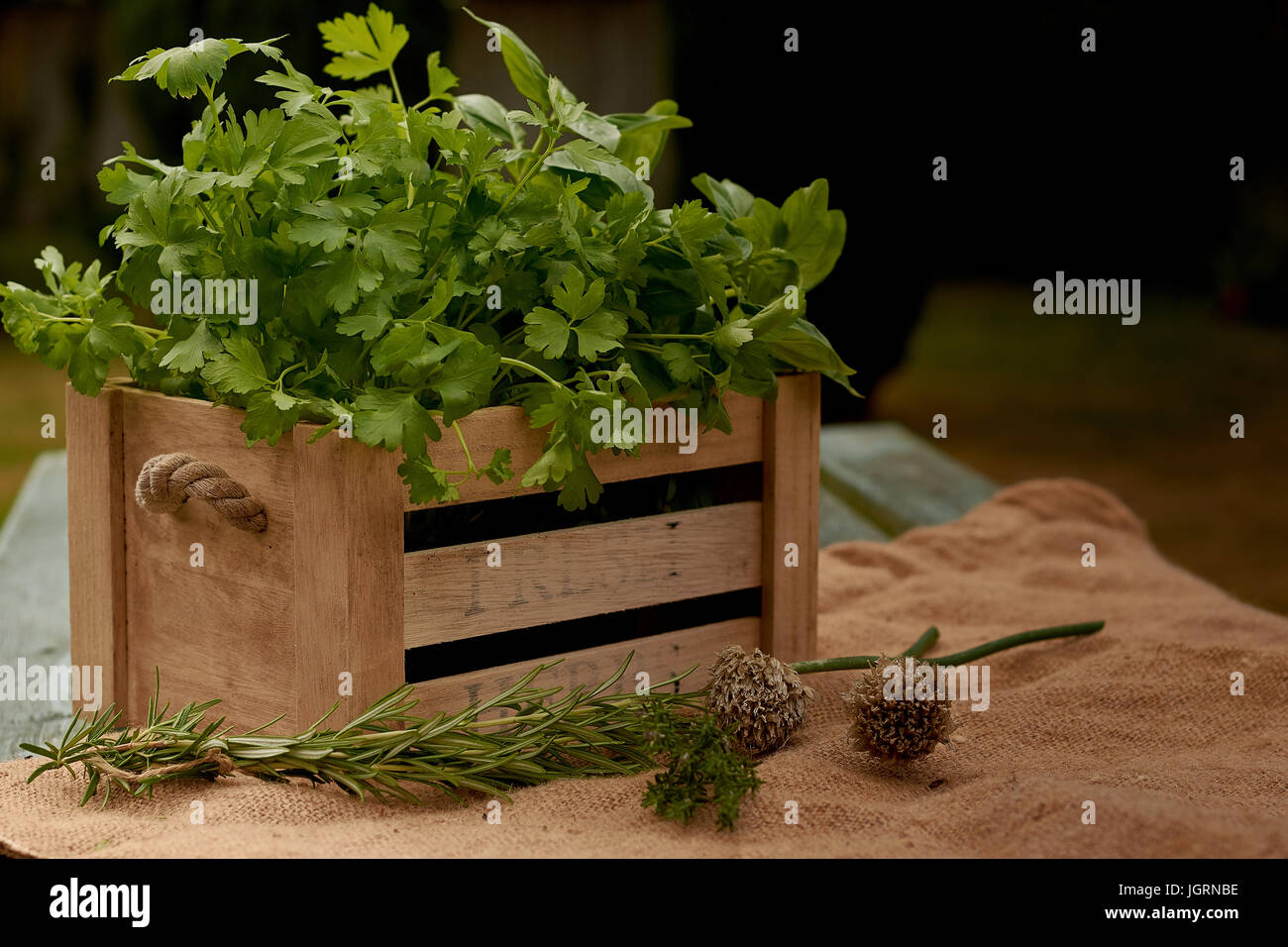 Herbs in Herb Box Stock Photo Alamy