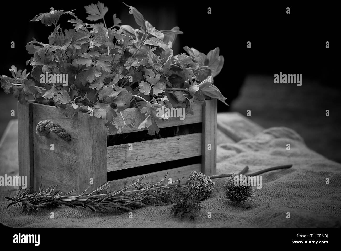 Herbs in Herb Box Stock Photo