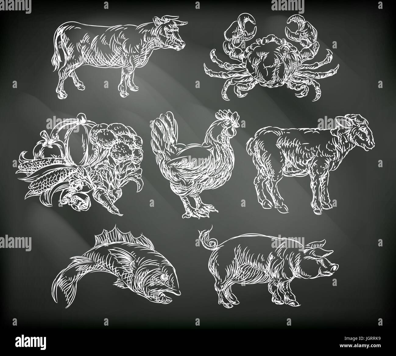 Food Groups Chalk Hand Drawn Animal Icons Stock Vector