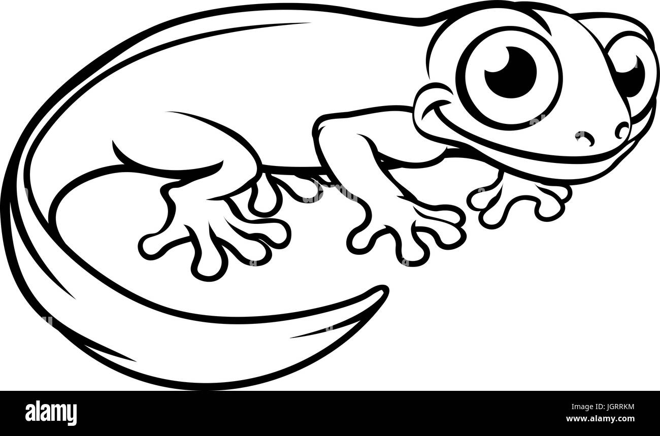Newt or Salamander Cartoon Character Stock Vector