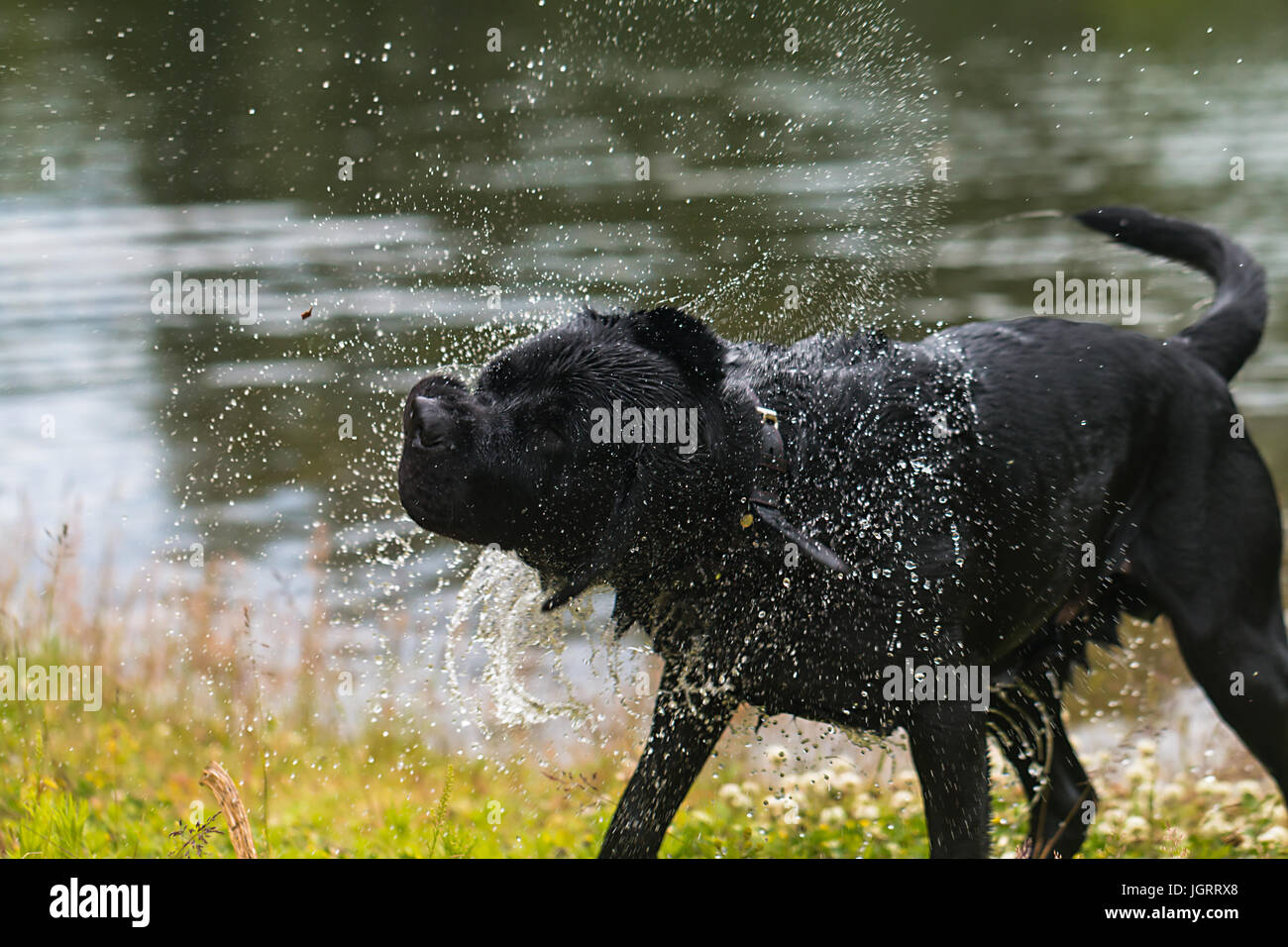 Inletlake hires stock photography and images Alamy