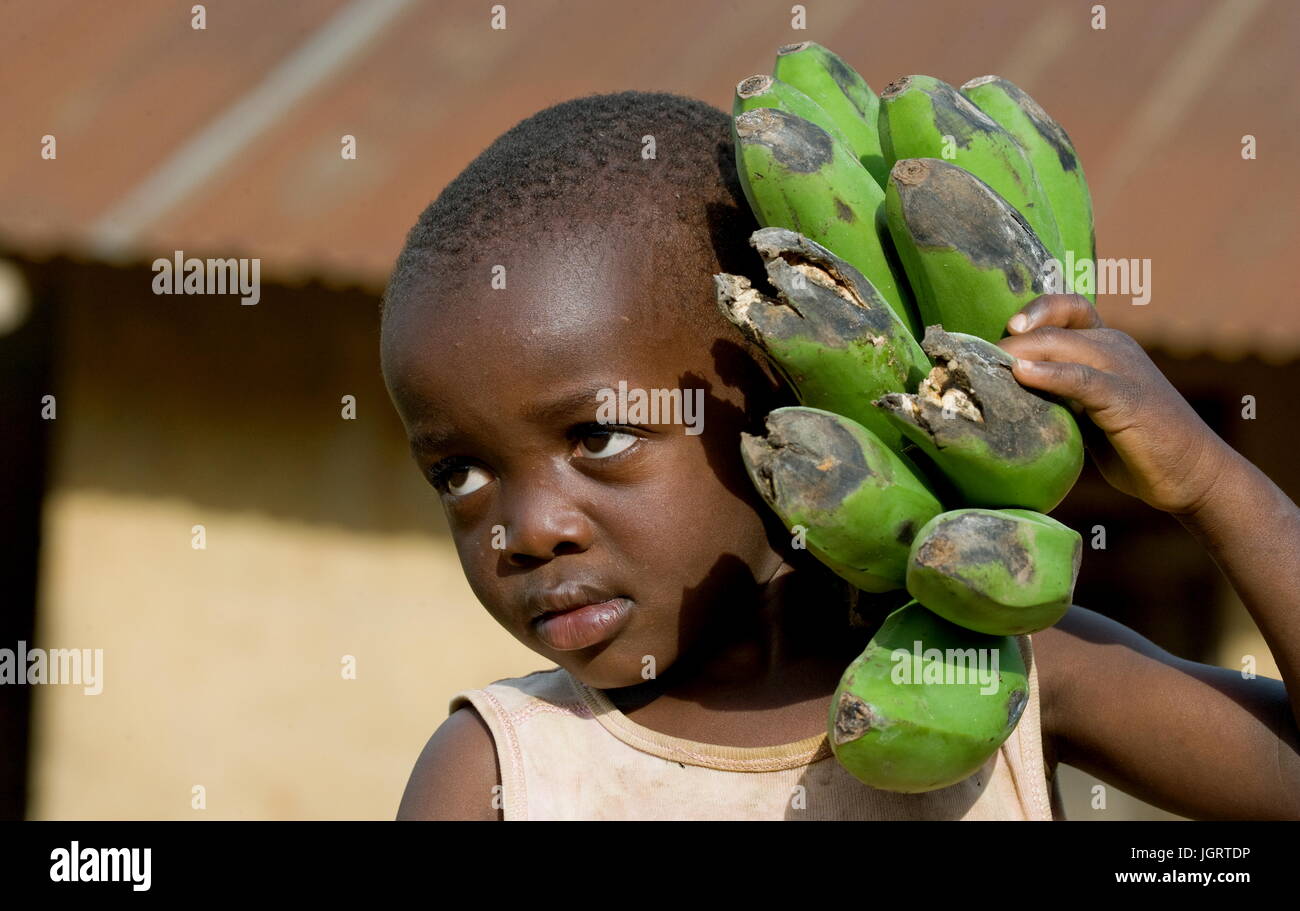 KISORO, UGANDA, AFRICA - DECEMBER 12, 2008: Kisoro. Uganda. Africa. The boy's portrait with a linking of bananas who goes to the market them to sell. Stock Photo