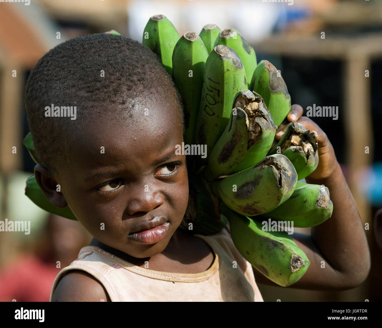 KISORO, UGANDA, AFRICA - DECEMBER 12, 2008: Kisoro. Uganda. Africa. The boy's portrait with a linking of bananas who goes to the market them to sell. Stock Photo
