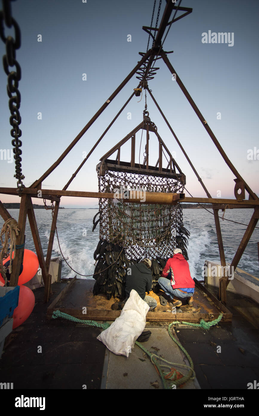 Scallop fishing nets hi-res stock photography and images - Alamy