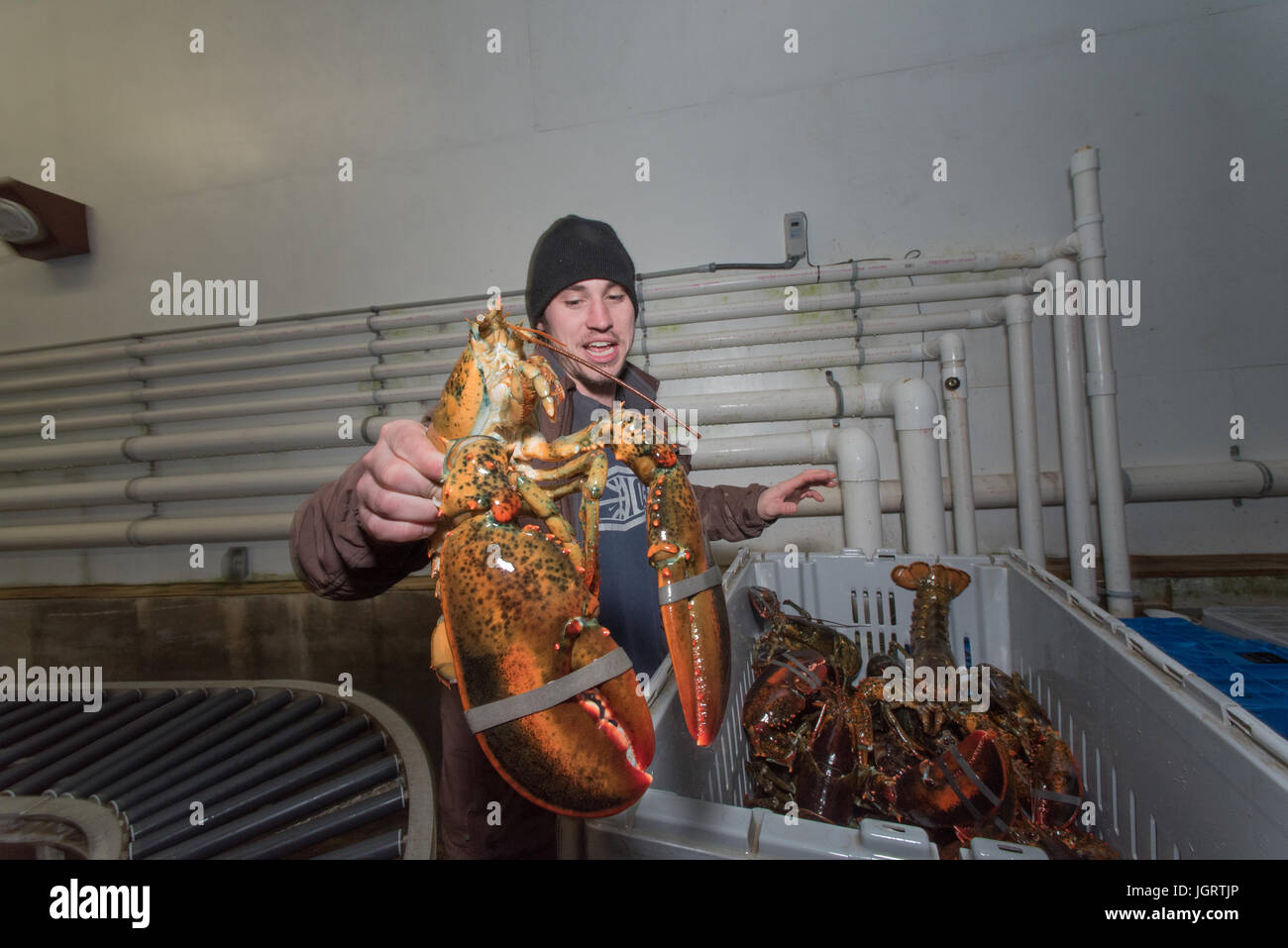 Lobster coop of Stonington, Maine Stock Photo Alamy