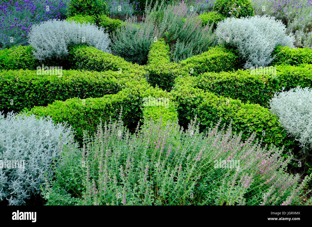 norwich cathedral herb garden, norfolk, england Stock Photo
