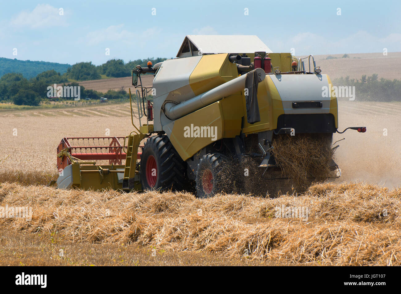 Grain harvester combine work in field Stock Photo