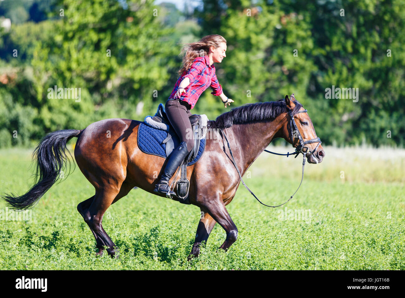 Young rider woman on galloping horse without holding bridle. Free