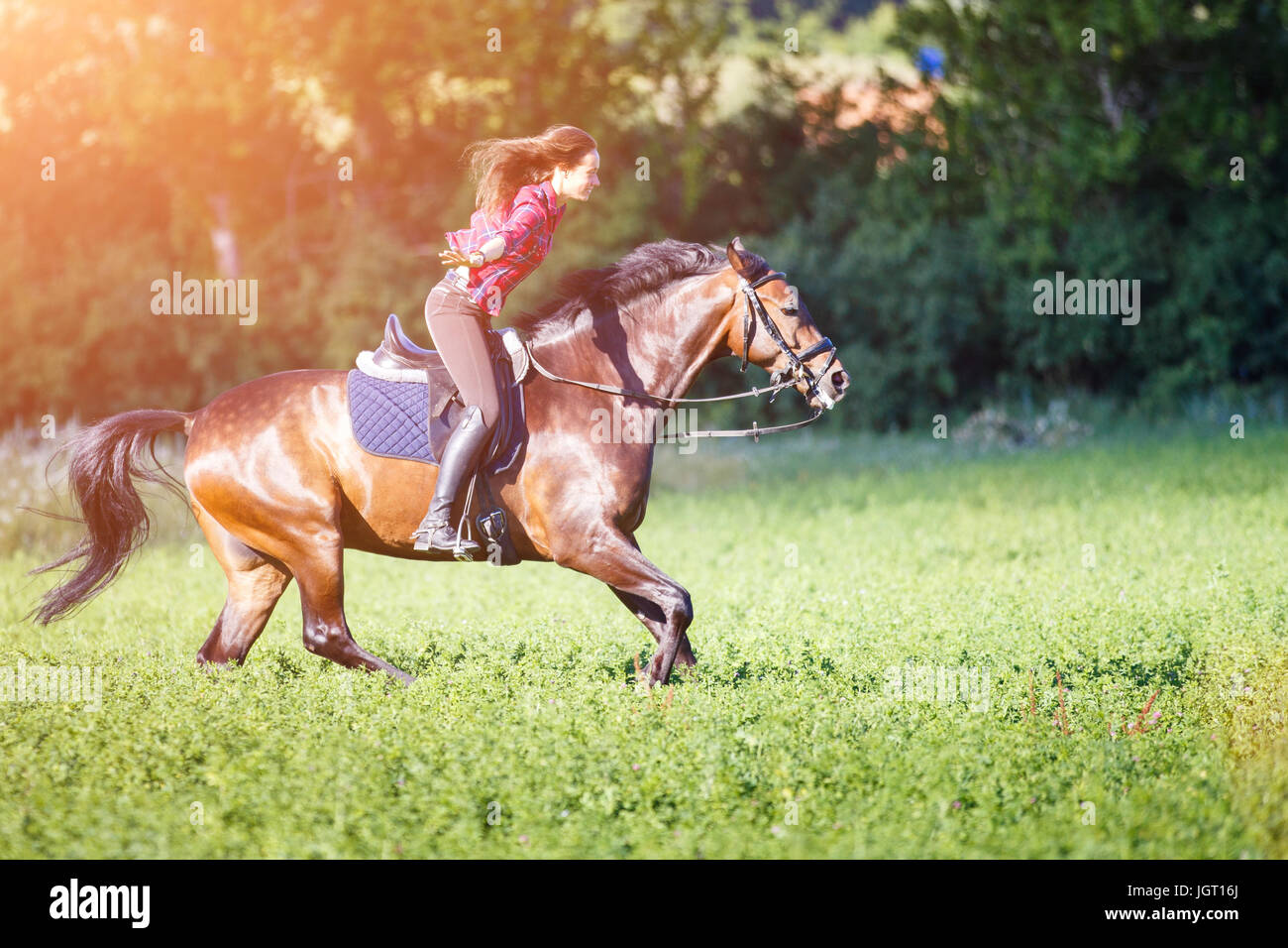 Young rider woman on galloping horse without holding bridle. Free
