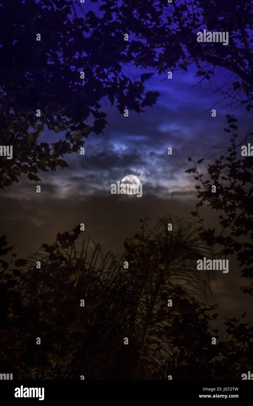 Moon Over Los Angeles Stock Photo - Alamy