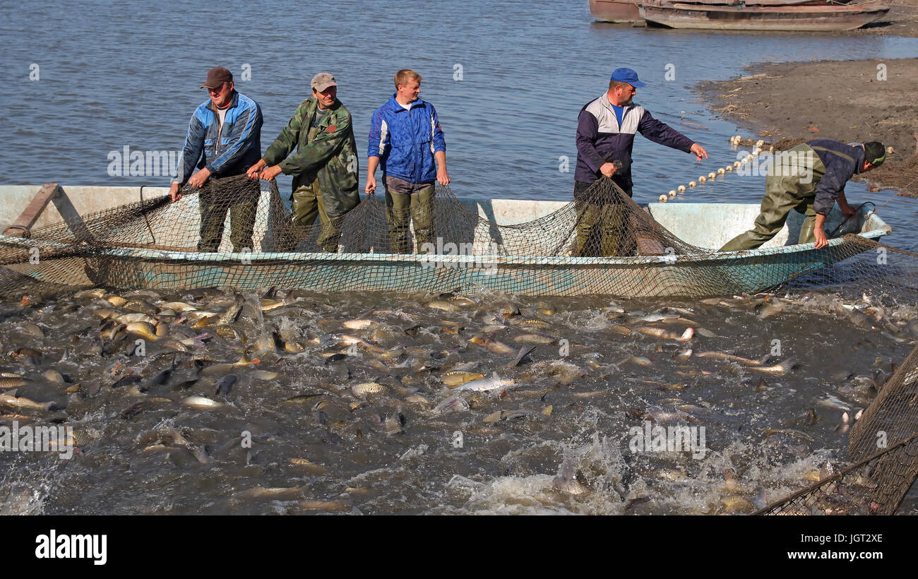 Harvest fish hires stock photography and images Alamy