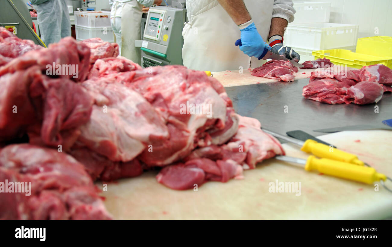 Fresh raw pork chops in meat factory. Meat processing in food industry. Production line in meat processing plant. Stock Photo
