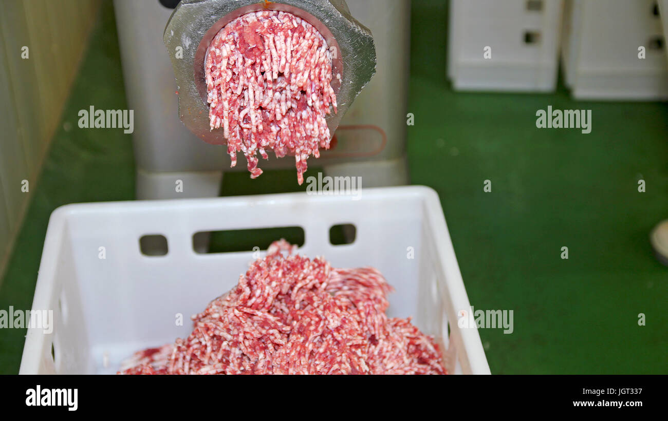 Meat mincing machine grinding meat in meat processing plant. Up close view of meat being ground up. Stock Photo