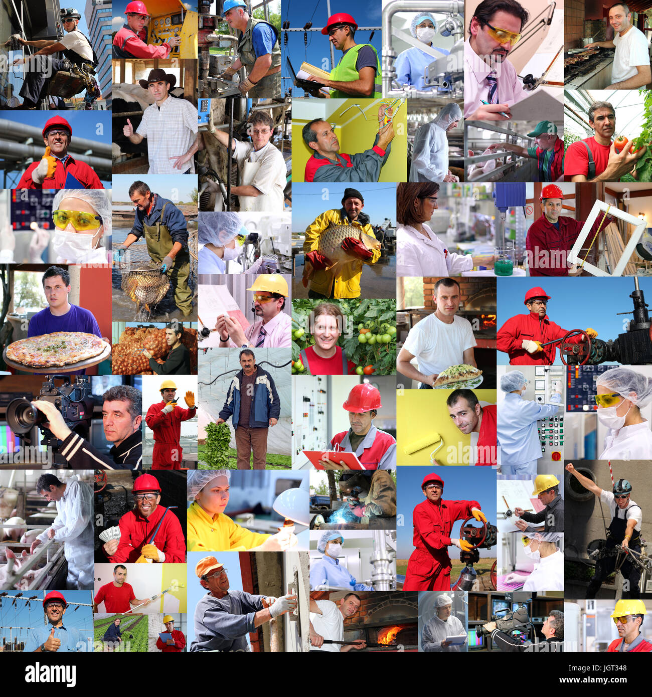Business collage made of photographs of professional workers at work
