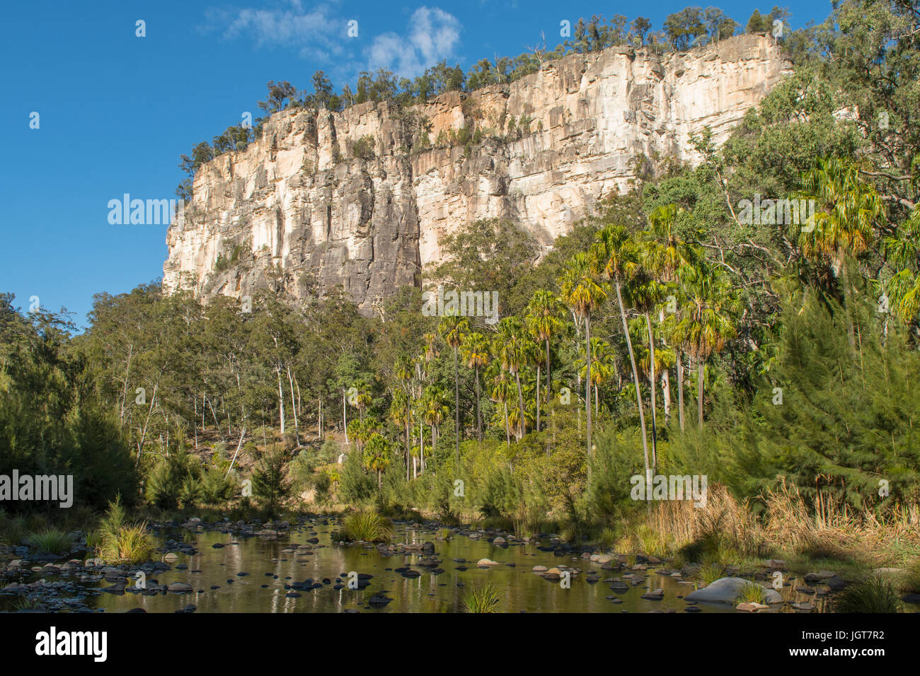 Rock Cliff and Creek, Carnarvon Gorge, Queensland, Australia Stock Photo