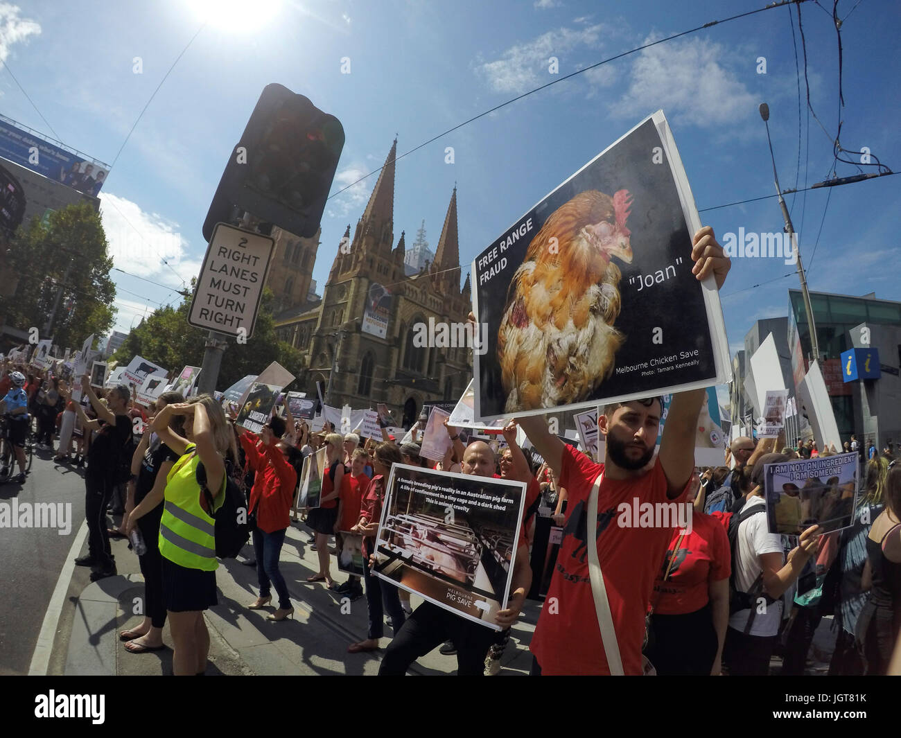 Demonstration against Intensive Farming - Melbourne Stock Photo