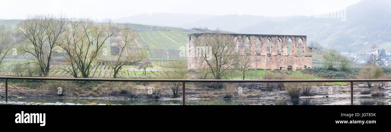 Panorama, ruins of a monastery in bars, on the Moselle, in the background the vineyard. Shot in the morning fog. Stock Photo