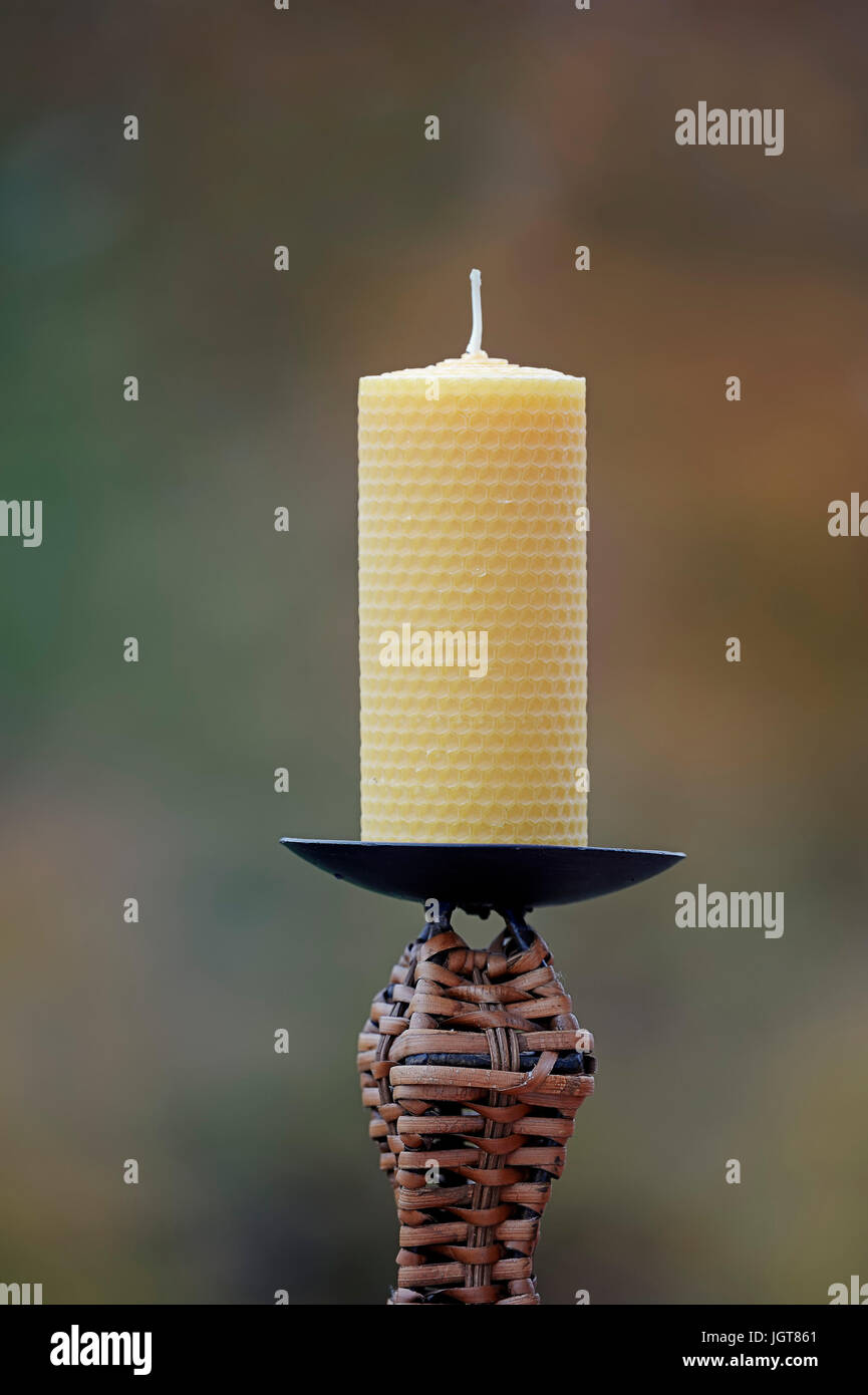 Bienenwachskerze / Honigkerze, Kerze | Beeswax candle Stock Photo