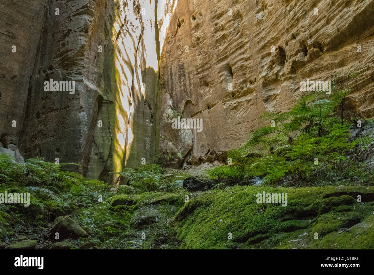 Amphitheatre, Carnarvon Queensland, Australia Stock Photo Alamy