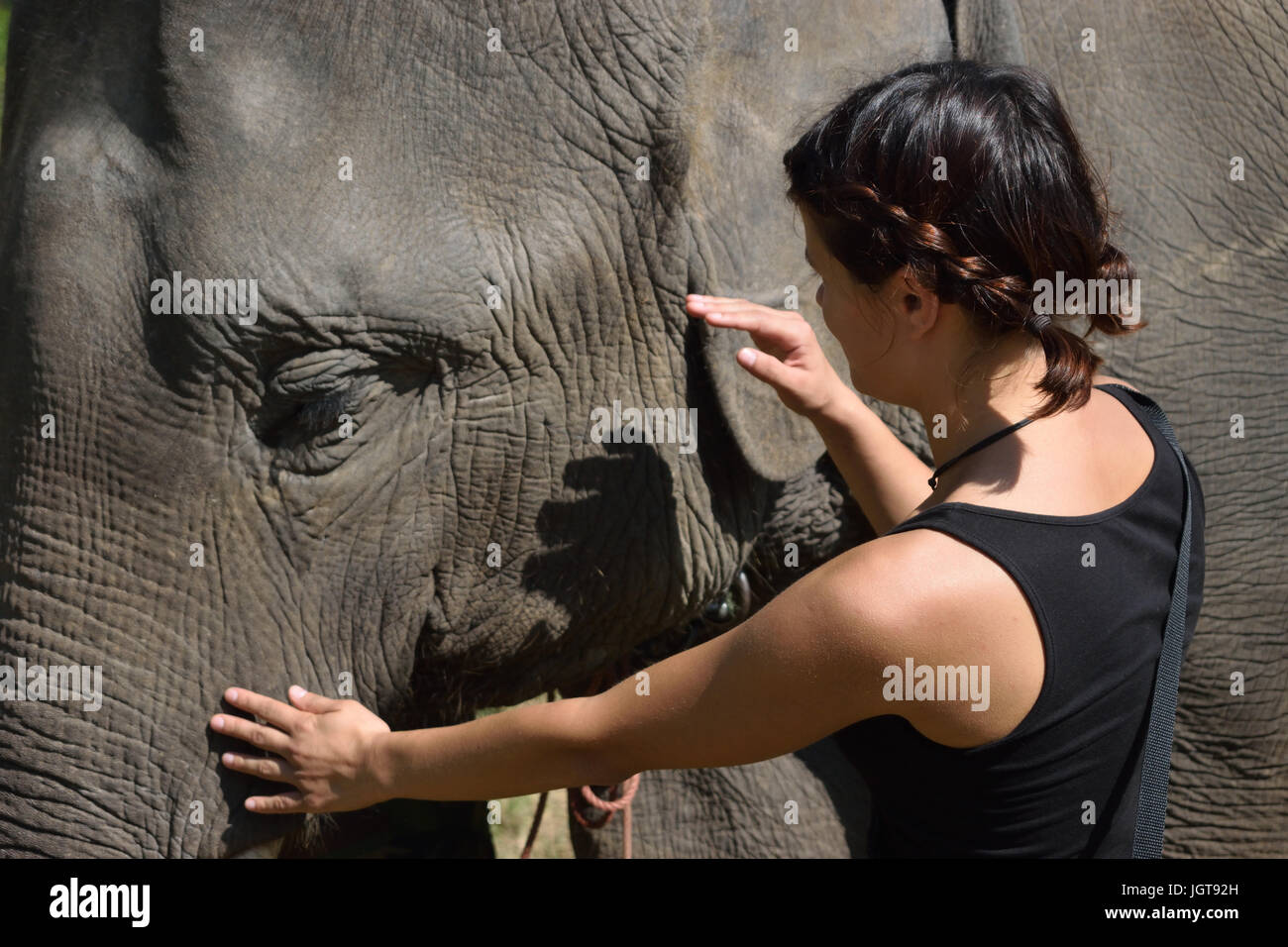 Elephant lover Stock Photo