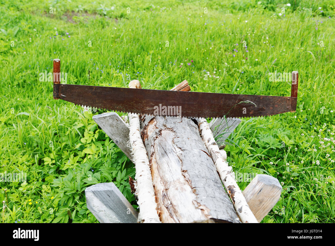 Two-handed saw and firewood in a meadow in summer Stock Photo