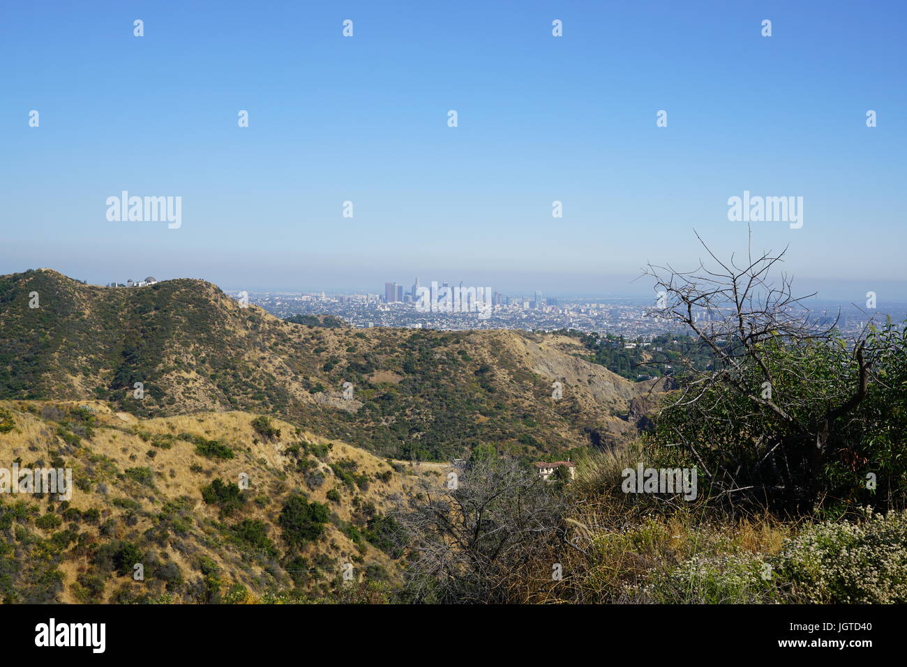 Hollywood Hills main image 0
