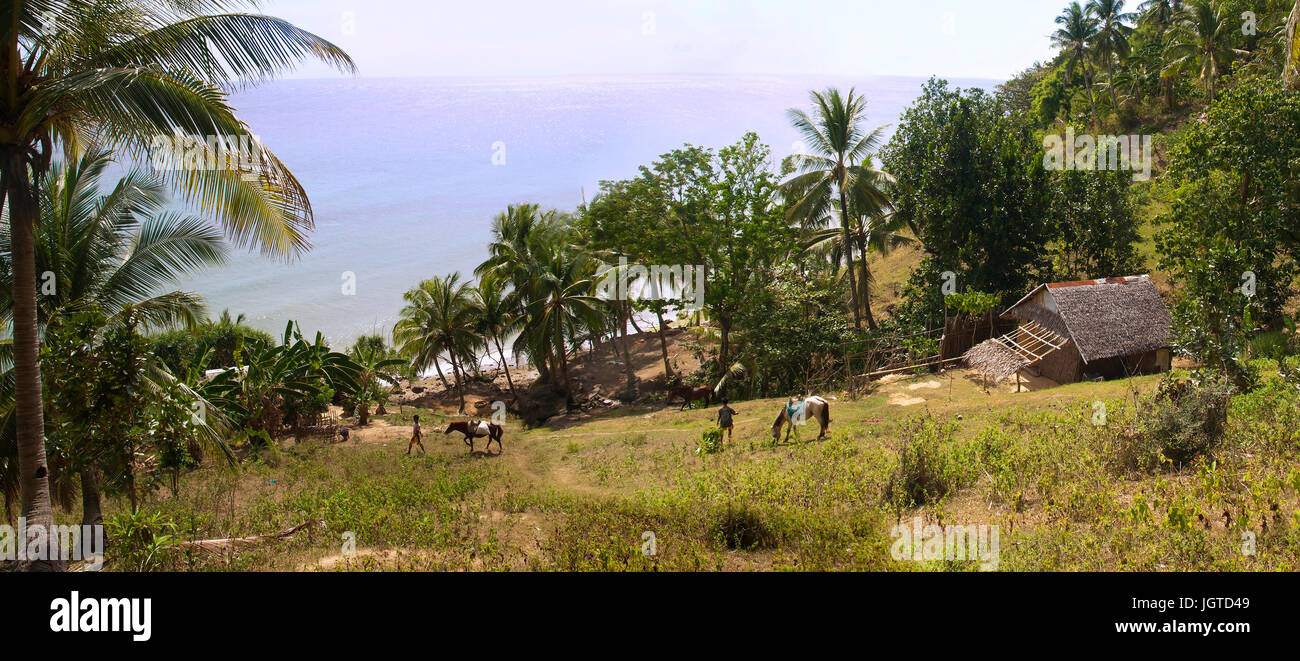 two filipino boys with  horses at the island farm Stock Photo