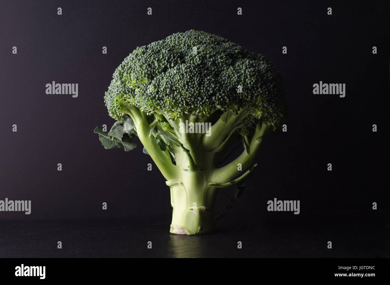 A head of broccoli, tree shaped and standing upright on black surface against black background.  Lit to create dark, moody effect and strong contrast  Stock Photo