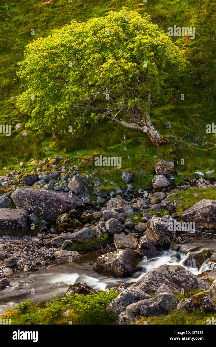 Macgillycuddys reeks mountain range hi-res stock photography and images ...