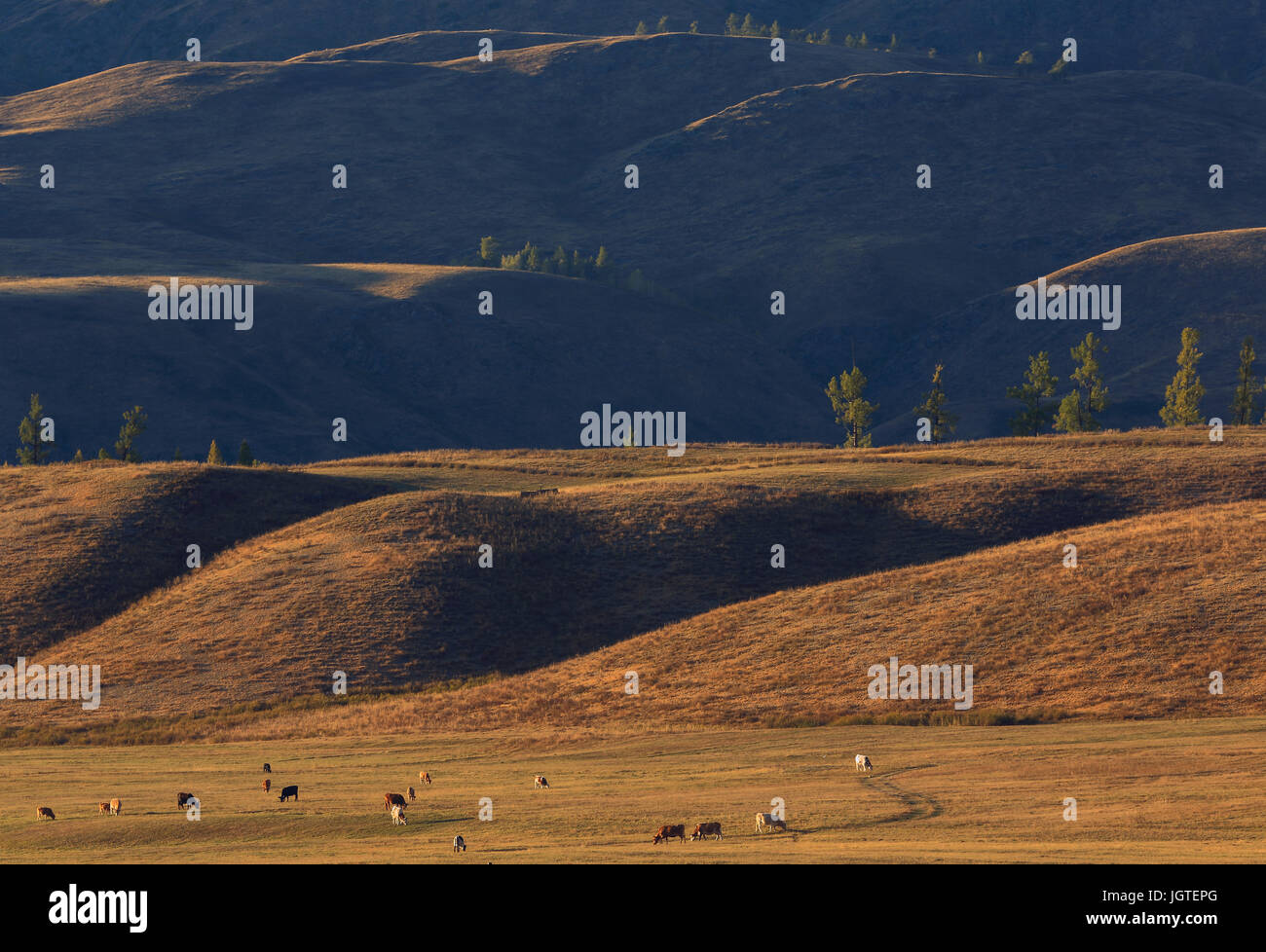 China ranch landscape hi-res stock photography and images - Alamy