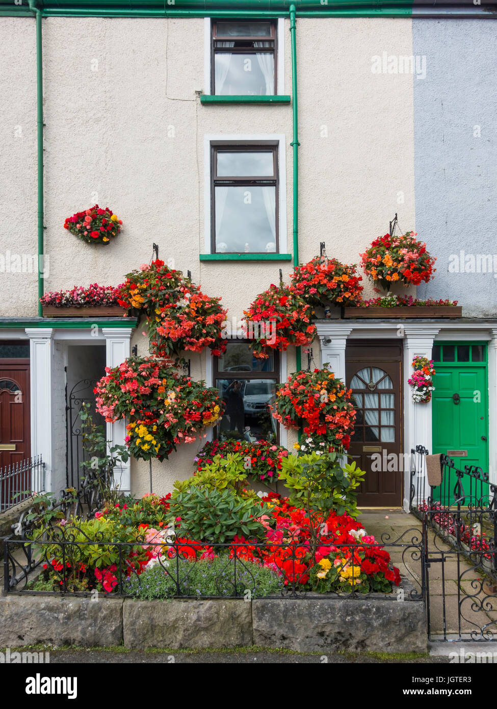 A brilliant display of brightly coloured summer flowers in the front garden of a terraced house in Ulverston Cumbria England UK Stock Photo