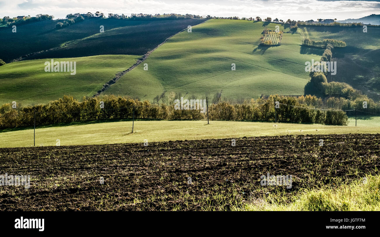 Shadows on the soft hills between Emilia romagna e Marche, Italy. Stock Photo