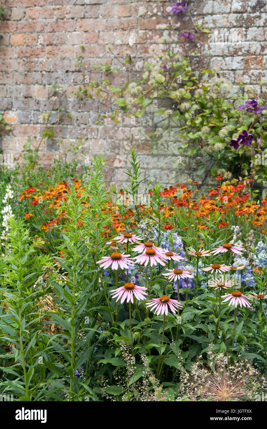 Garden design herbaceous border hi-res stock photography and images - Alamy