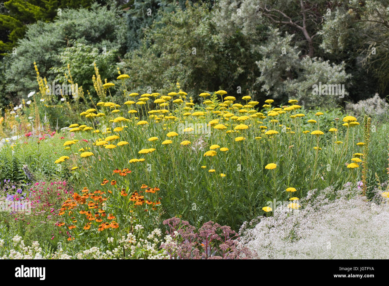 Garden design herbaceous border hi-res stock photography and images - Alamy