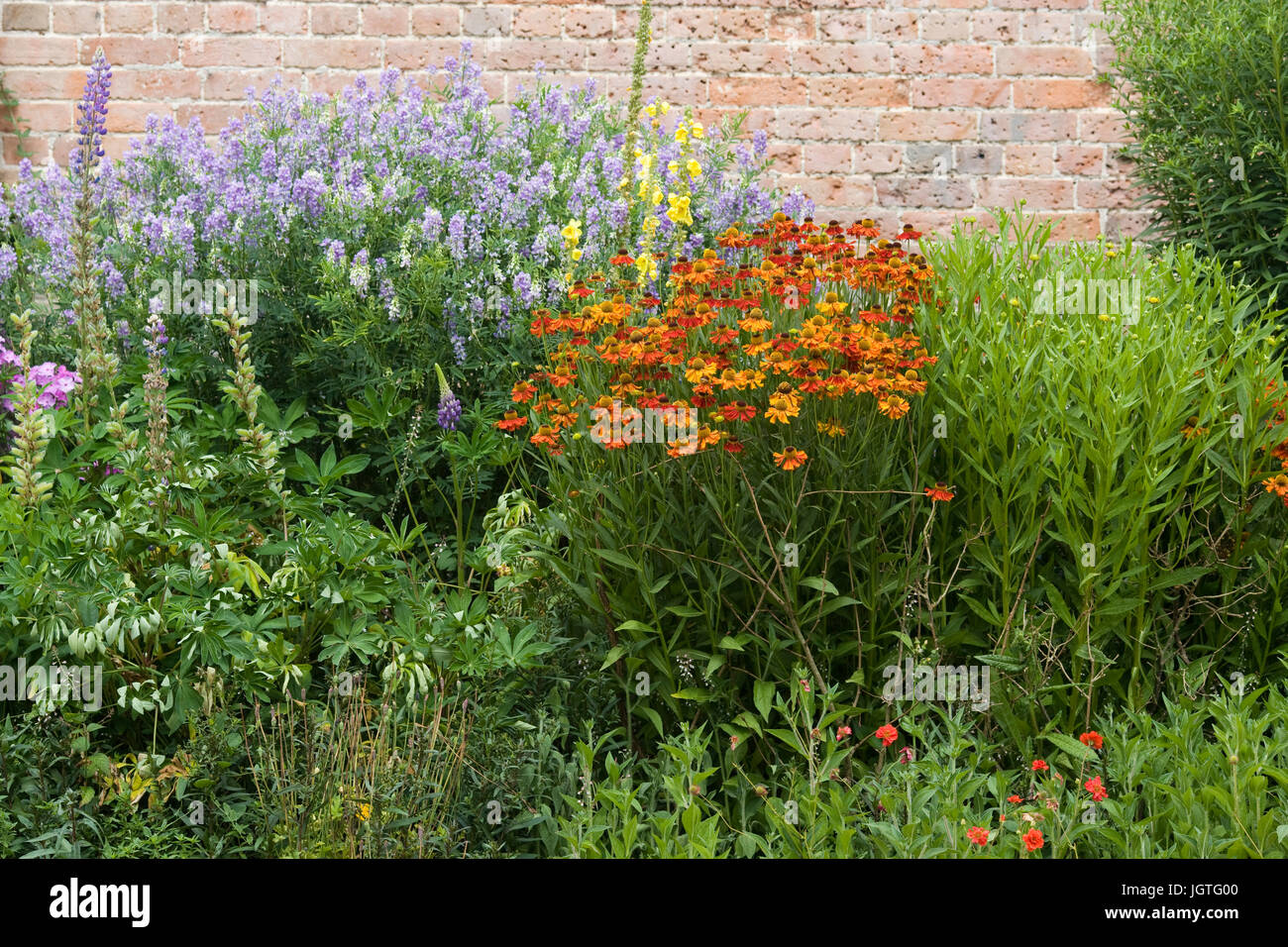 Garden design herbaceous border hi-res stock photography and images - Alamy