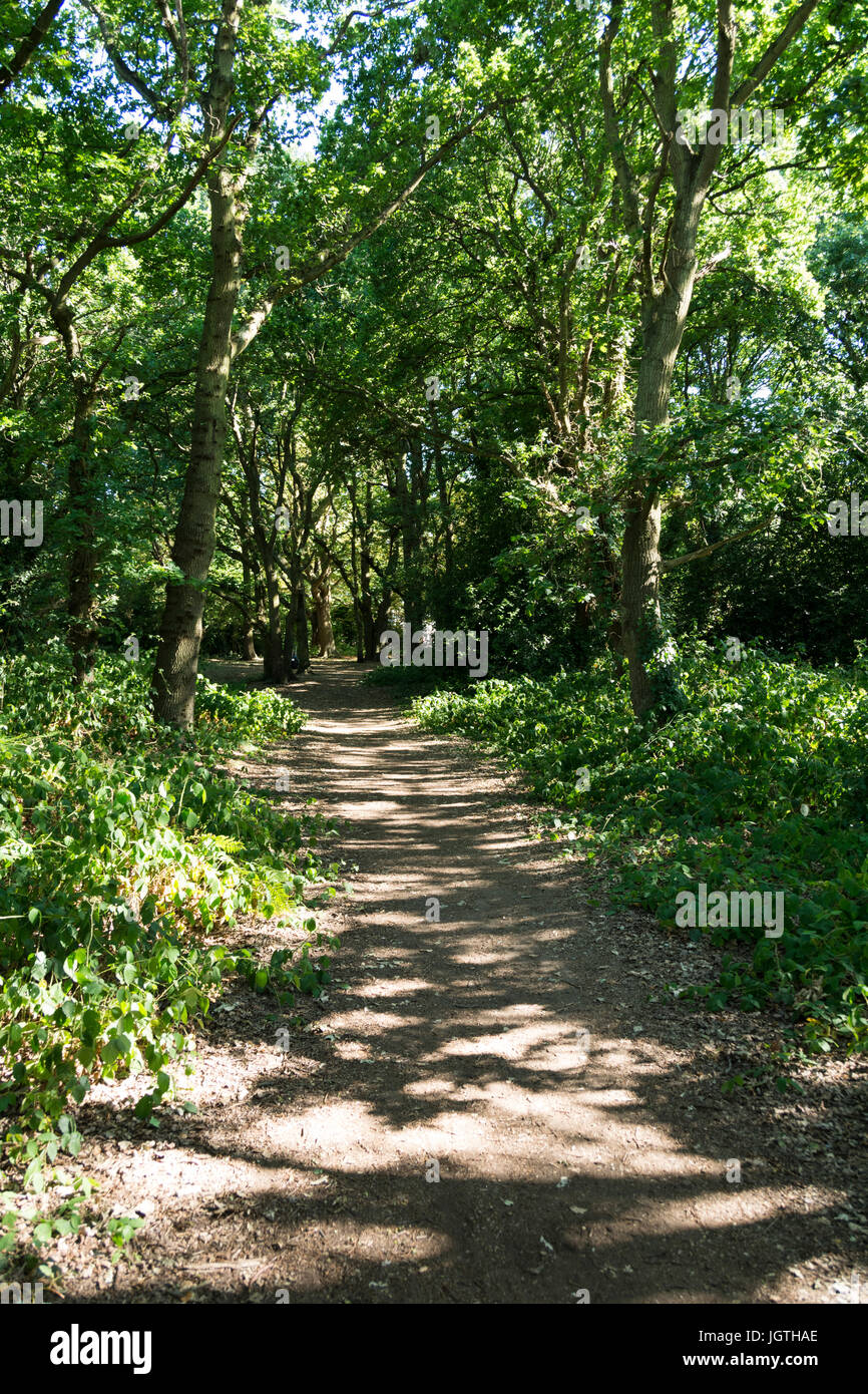 A Well Trodden Path On Barnes Common London England Uk Stock