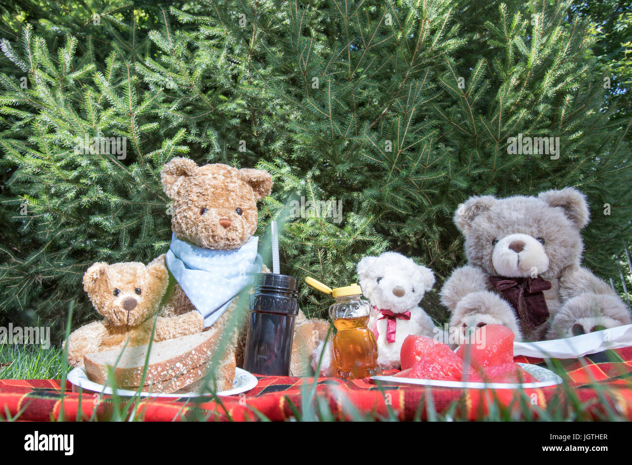 Teddy Bears on picnic blanket oudoors in grass with sandwiches ...