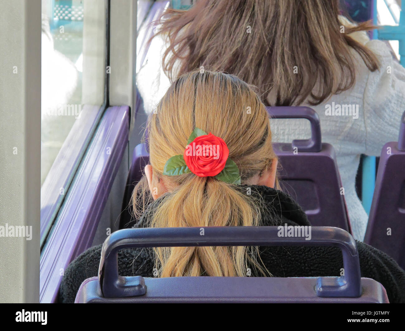 the back of the head with a rose hairband blonde hair girl woman empty bus public transport seats Stock Photo